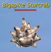 Bigspike Starcrab